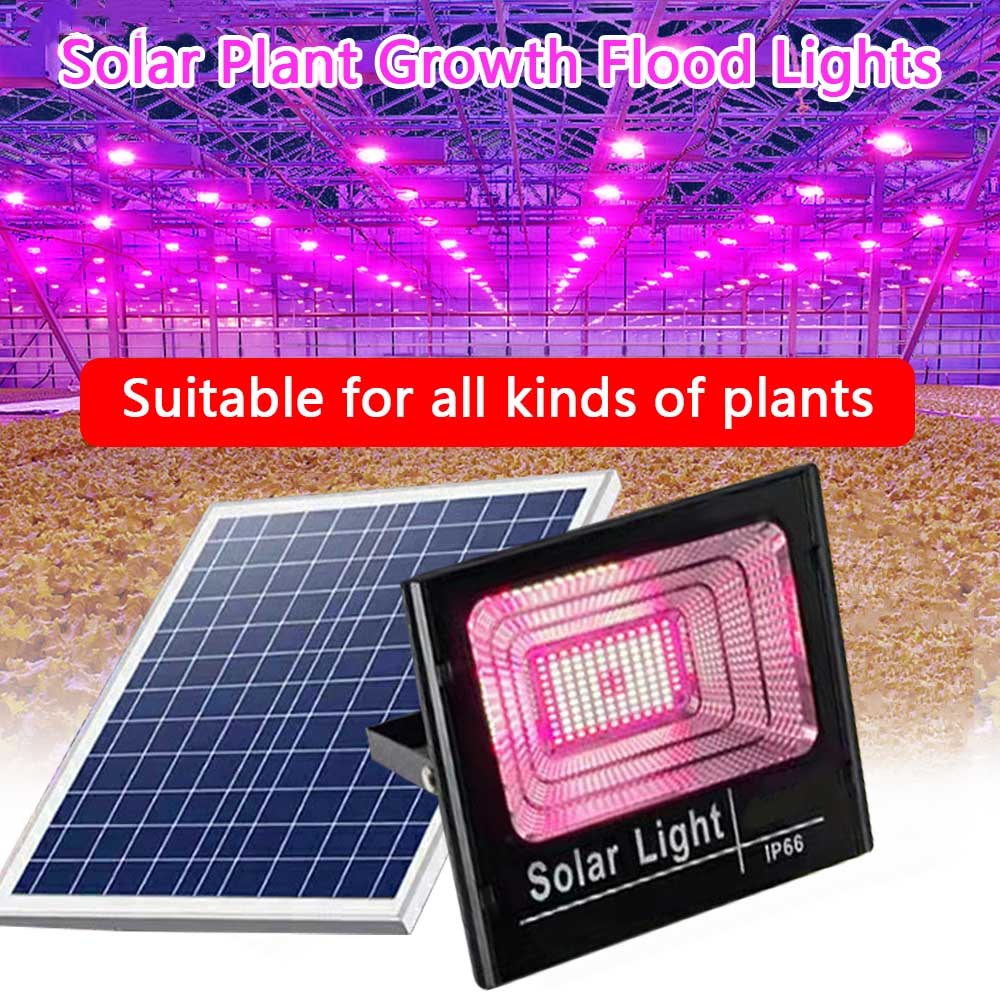 Outdoor Power And Plant - Solar LED Grow Light para Plantas