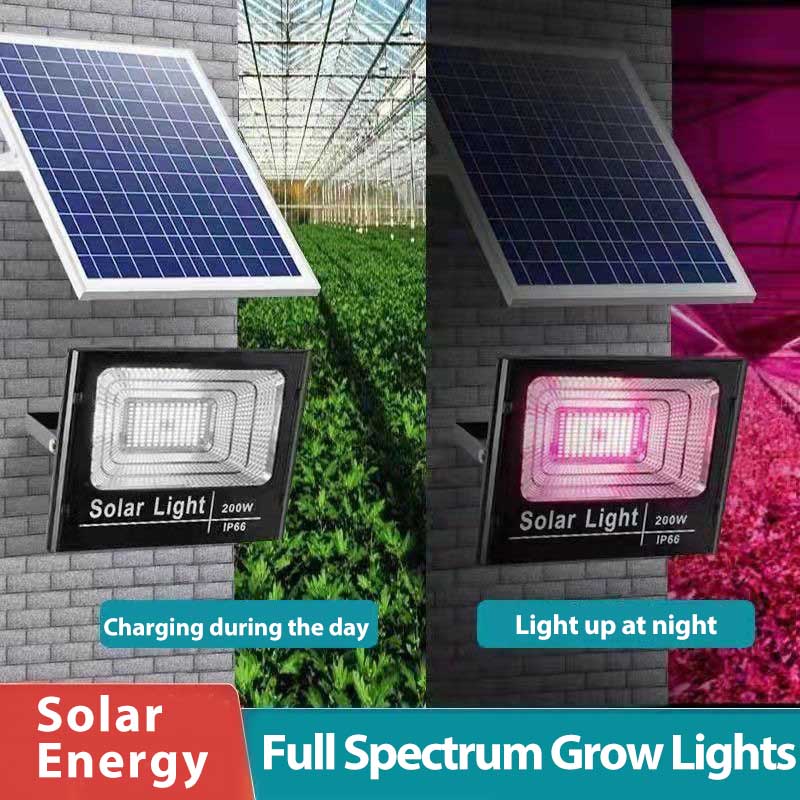Solar LED Grow Light para Plan - Outdoor Power And Plant avaliação e preço