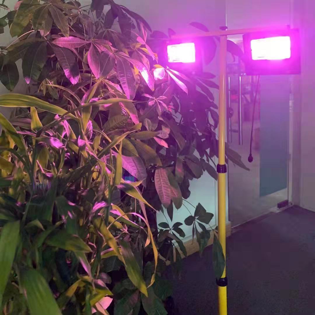 Solar LED Grow Light para Plan - Outdoor Power And Plant avaliação e preço